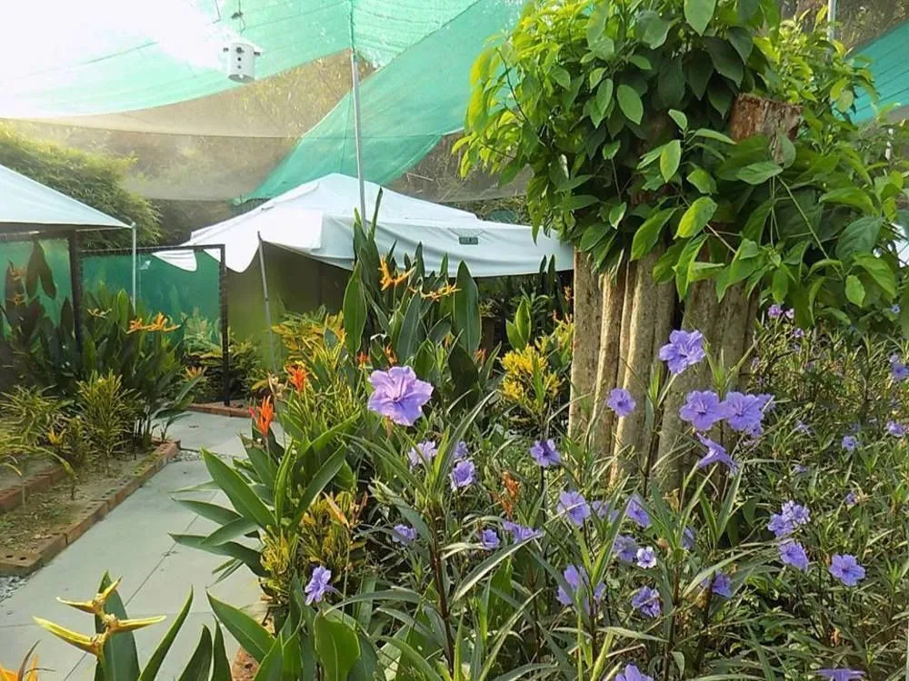 T Garden