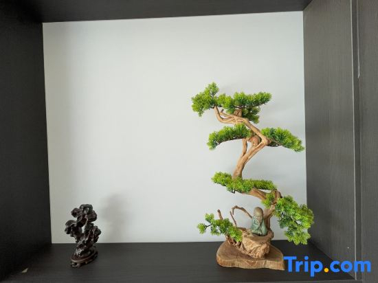 Zhige Hotel (Linyi Mixc Jinqueshan Road Branch)