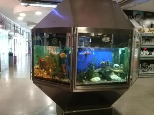 Edificio Acuario II