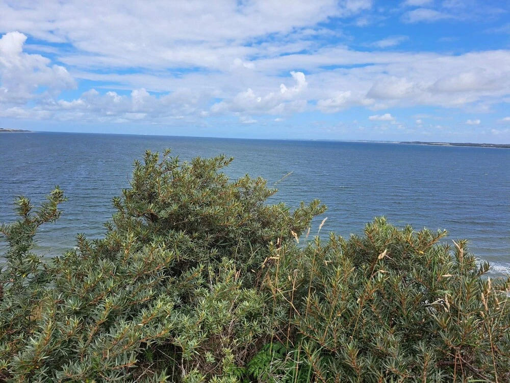 7 person holiday home in Struer