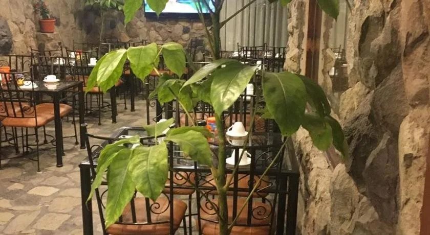 Hotel La Colina de Rio
