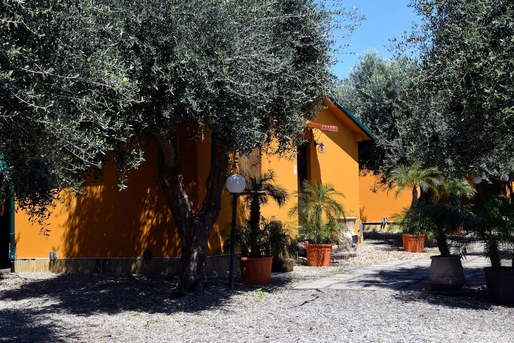 Riviera Degli Eucalipti