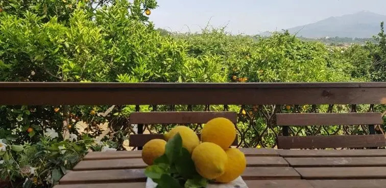 L'Aranceto