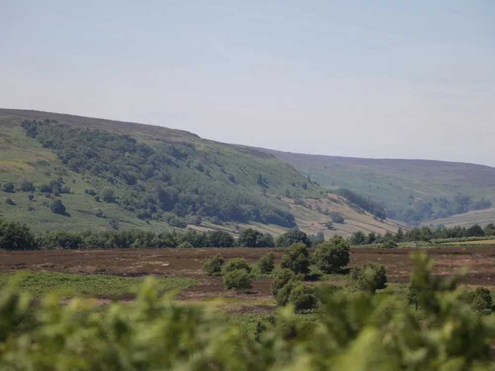 Langhill