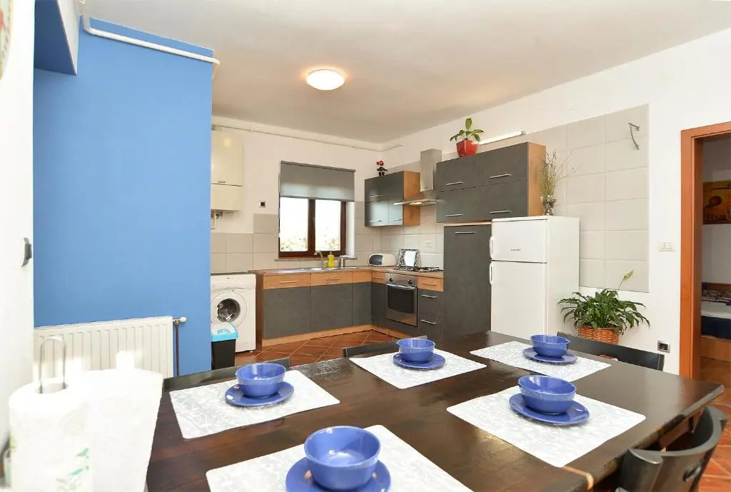 Apartment Puzar 295