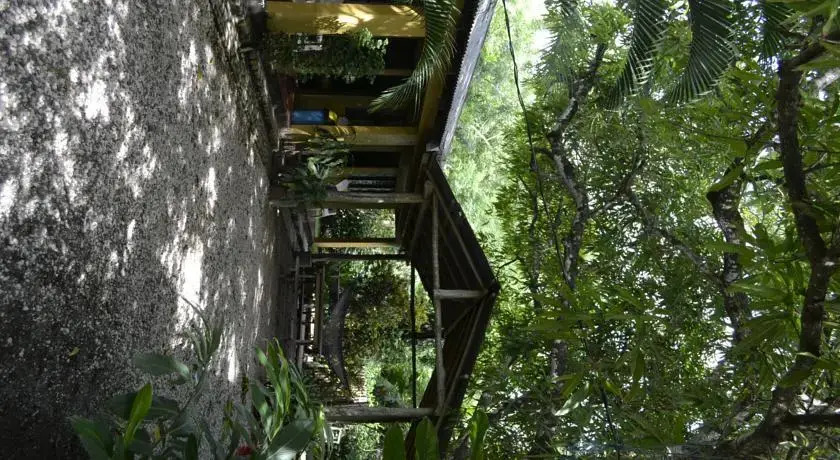 Cabinas Ostional