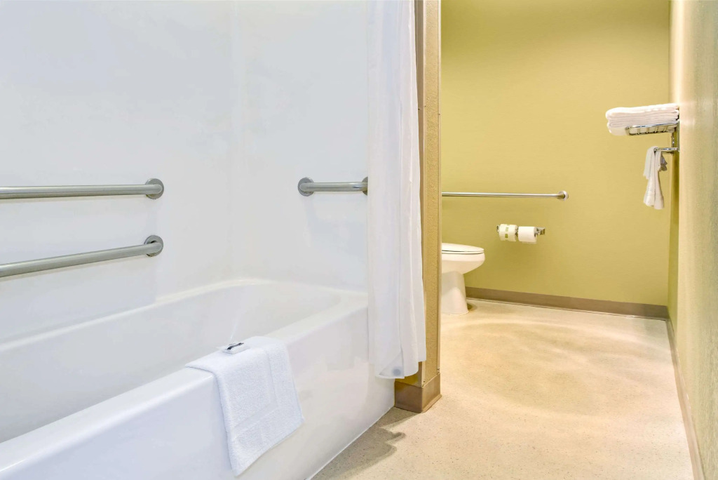 Microtel Inn & Suites by Wyndham Mason
