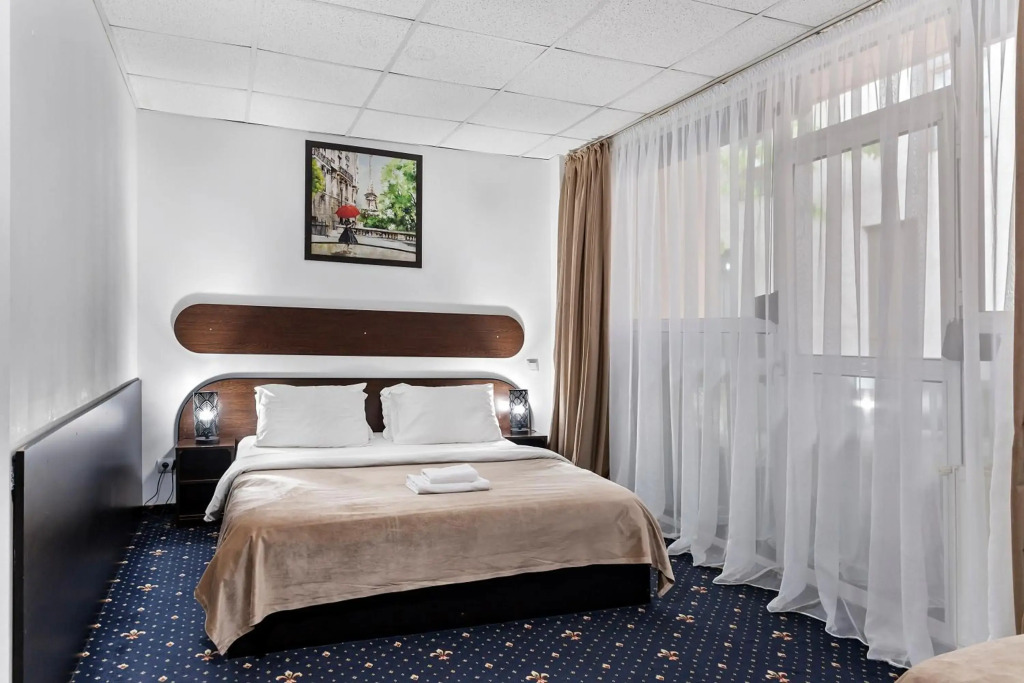 Hotel Charter Otopeni
