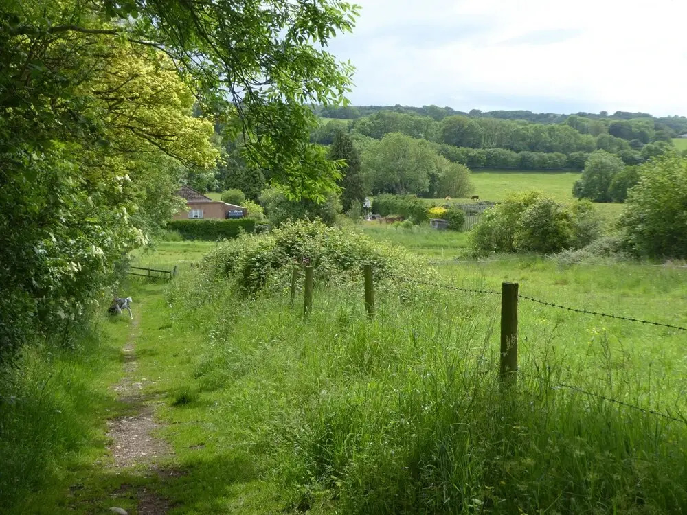 Mendip Cottage