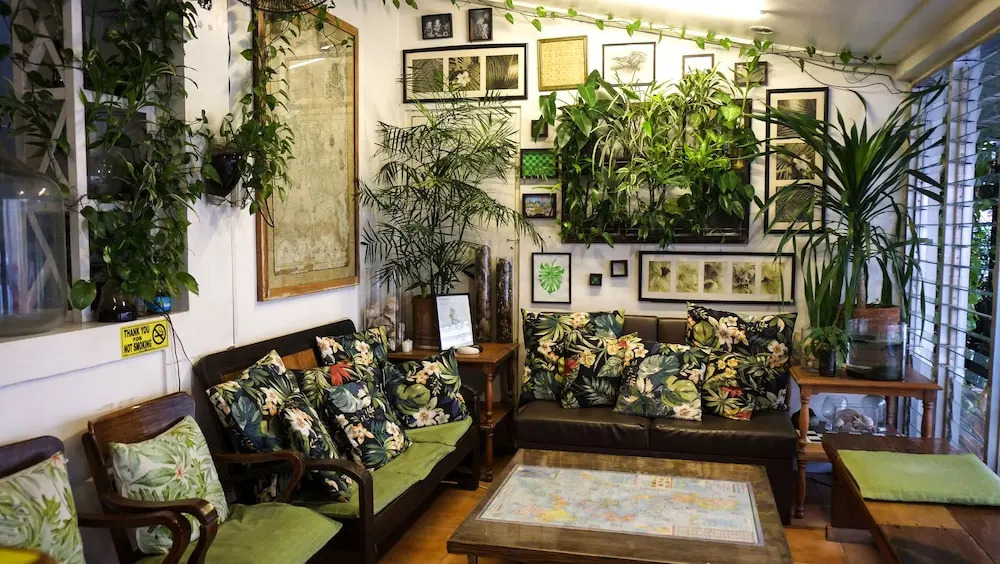Humble Hut Hostel