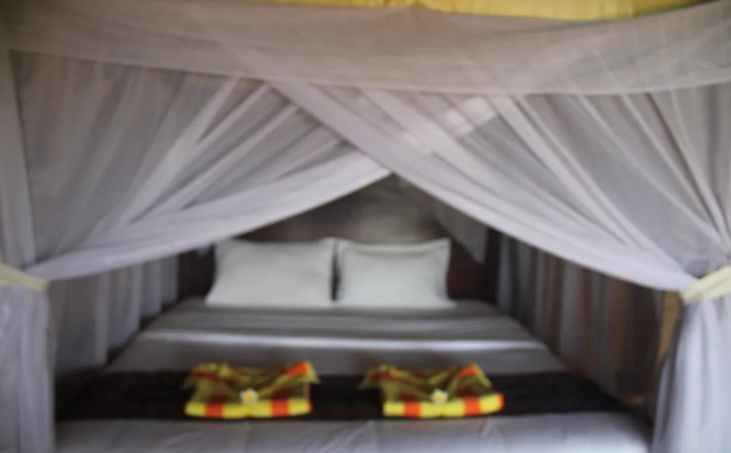 Surf Garden Lombok