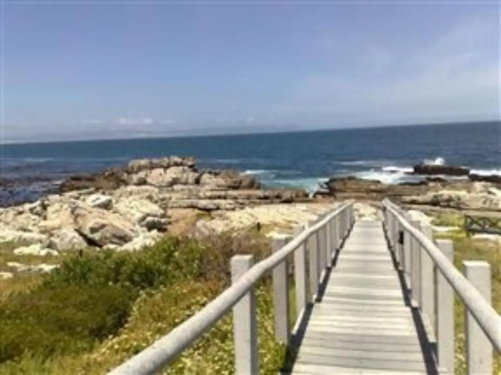 Whale Rock 54