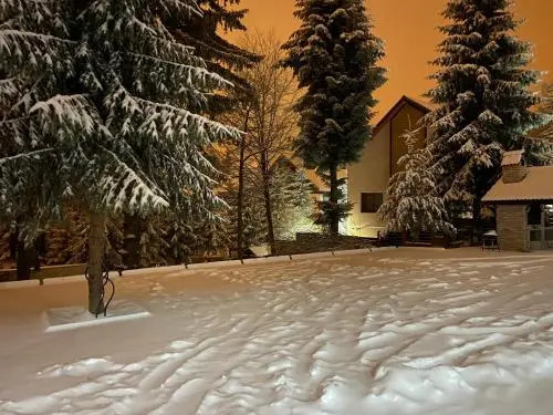 Chalet Wiese