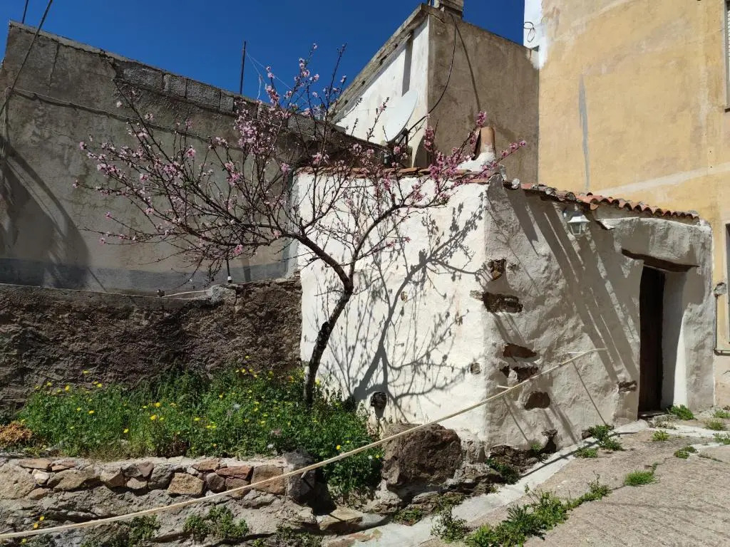 Sa Dommu e su coro