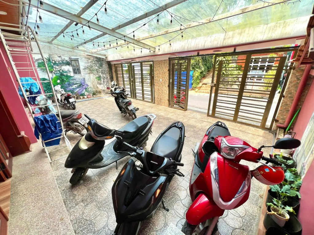 Nấm Home