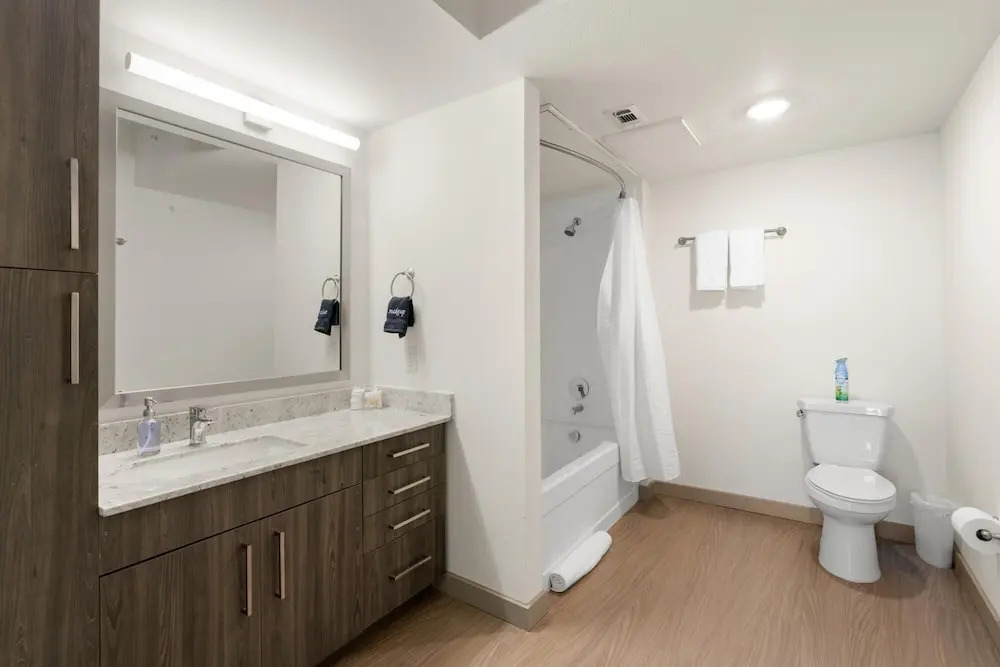 Arlington Modern 2BD 2BA Apartment