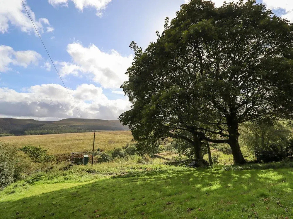 The Shearer's Hut