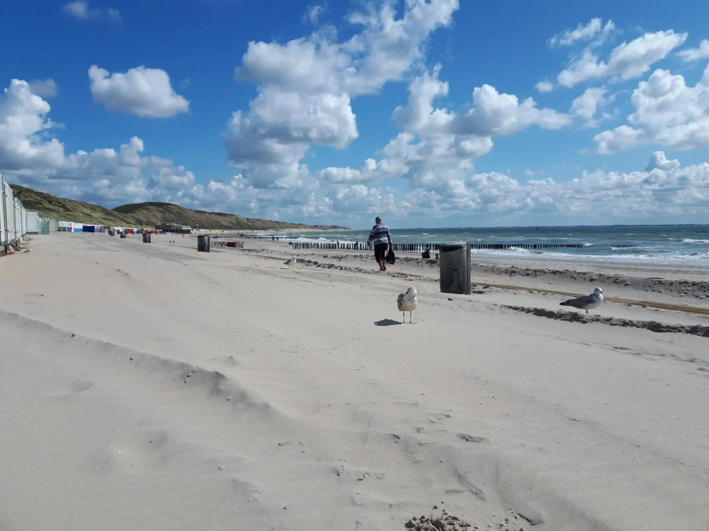 De Sprink 4 - Vakantiewoning en Luxe kamer