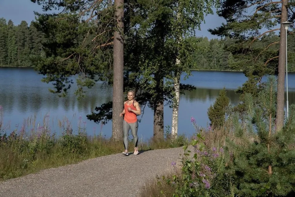 Hotelli Mesikämmen Oy