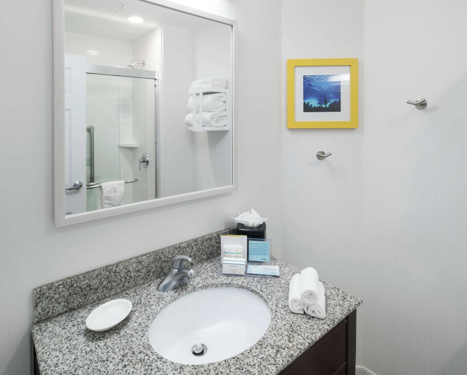 Hampton Inn & Suites Atlanta-Downtown