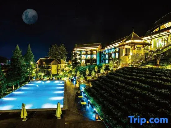 Tianyi Tea Homestay
