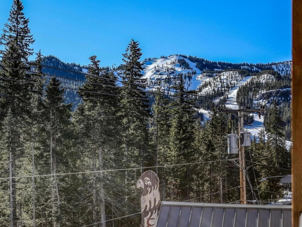 Geothermally Heated Outdoor Pool and Scenic Deck - Cozy Studio Retreat