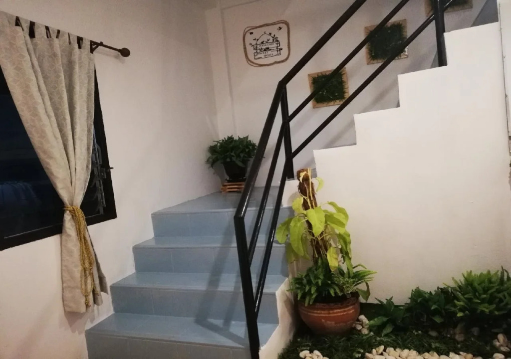 Alita Hostel&Bar