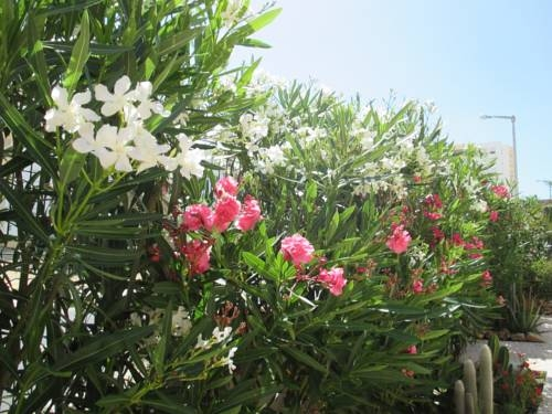 "Casas Novas Guesthouse"