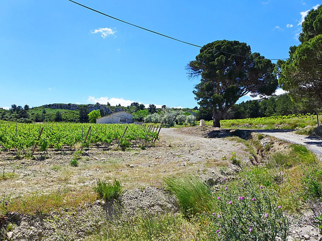 Les Vendanges