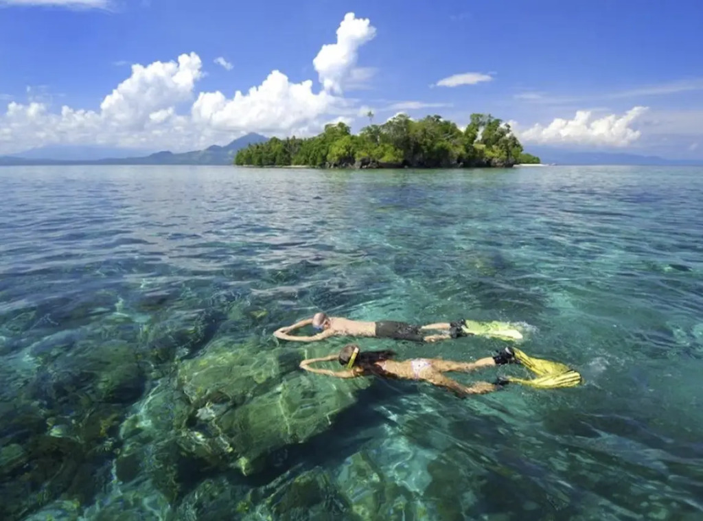 PS Bunaken Resort and Dive