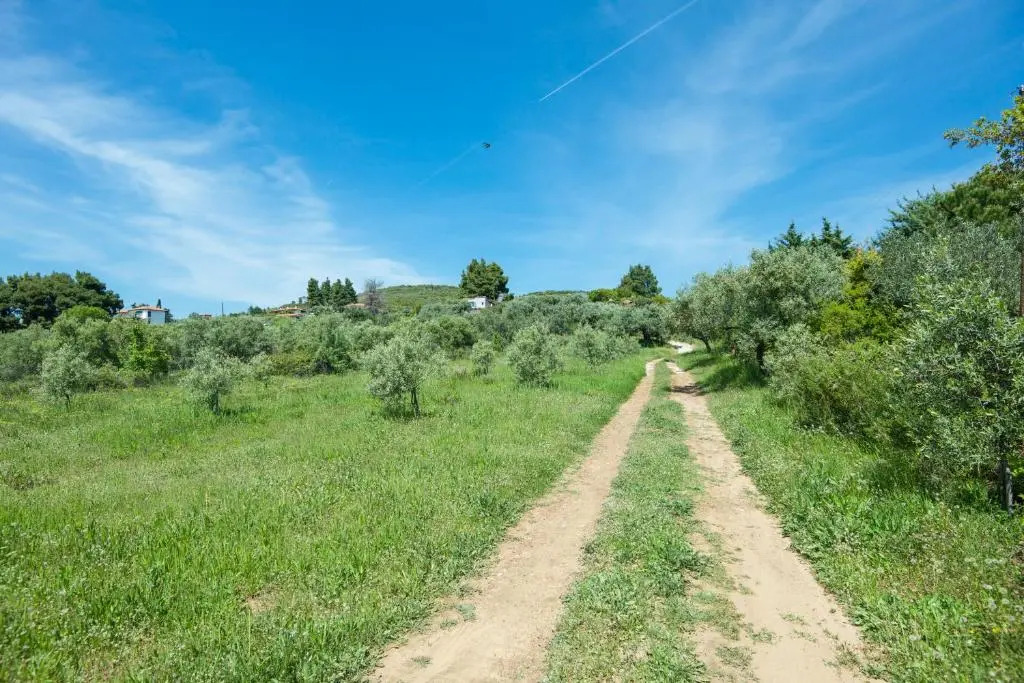 Avaton Farm