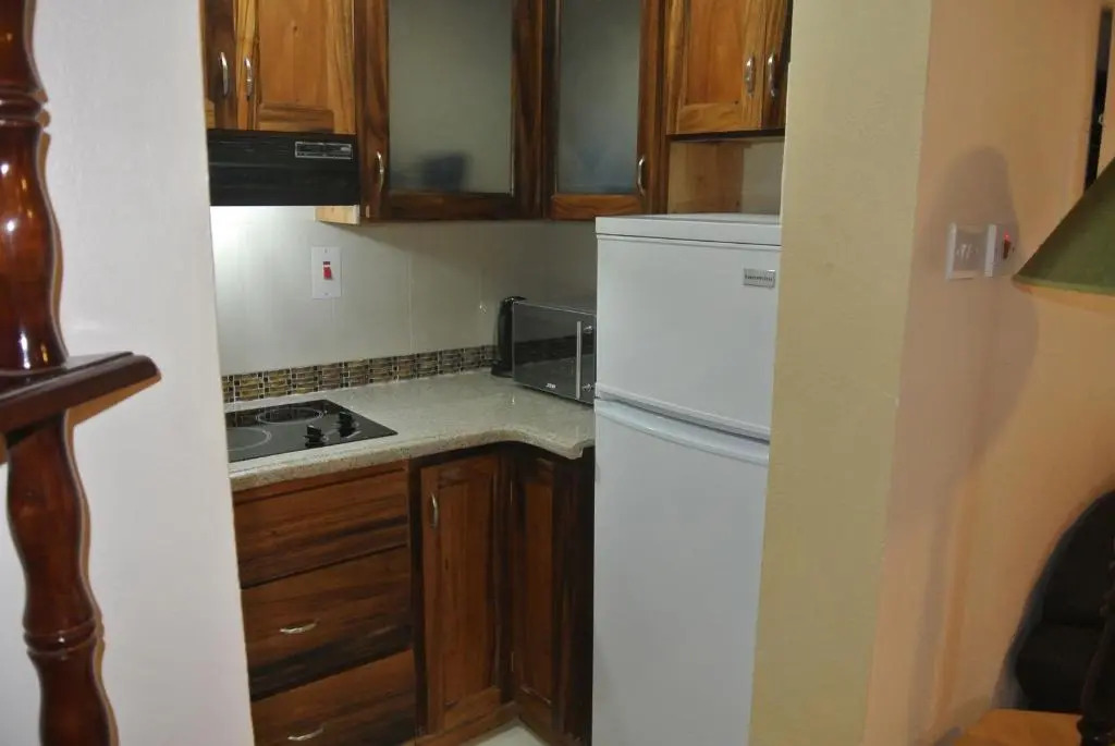Beach One Bedroom Suite 13