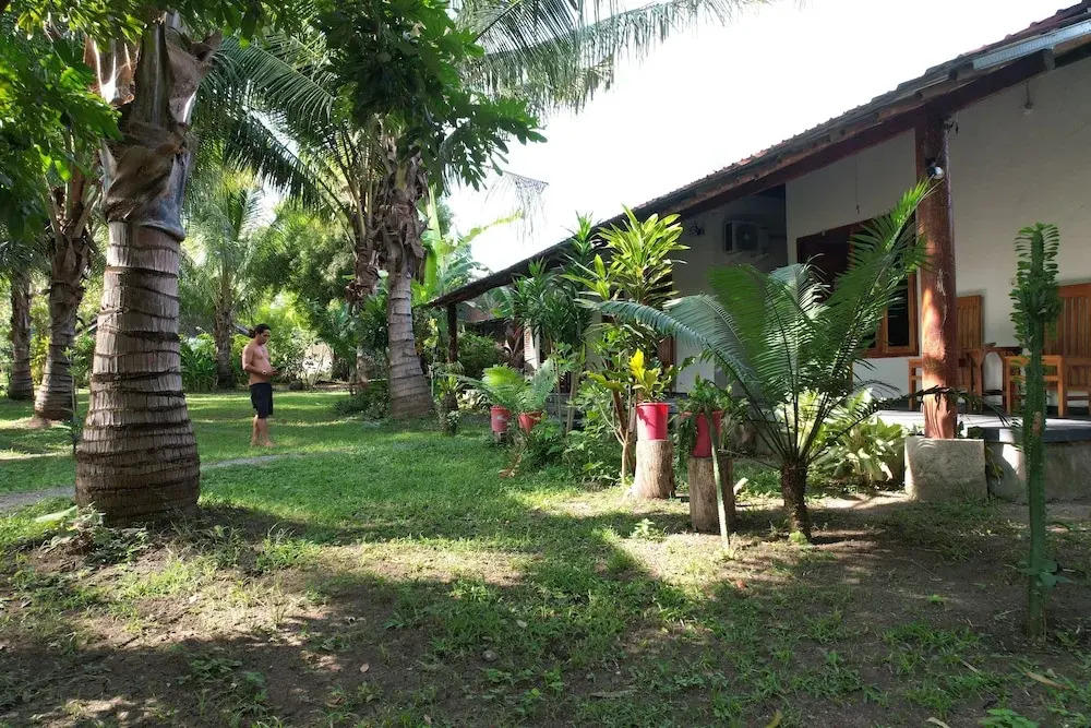 Coconut homstay