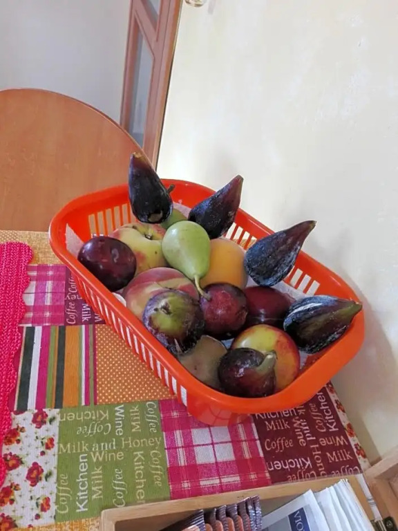 B&B La Dolce Vita