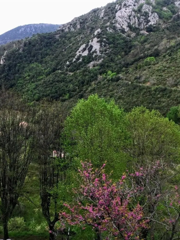 Sainte Agnès Cottages