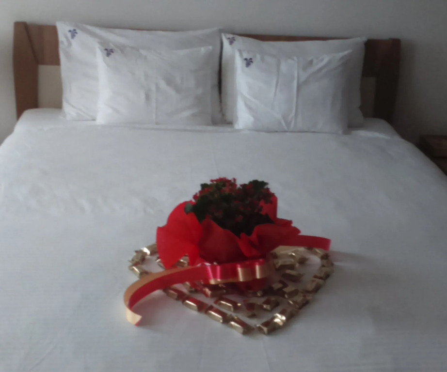 Garni Hotel Family
