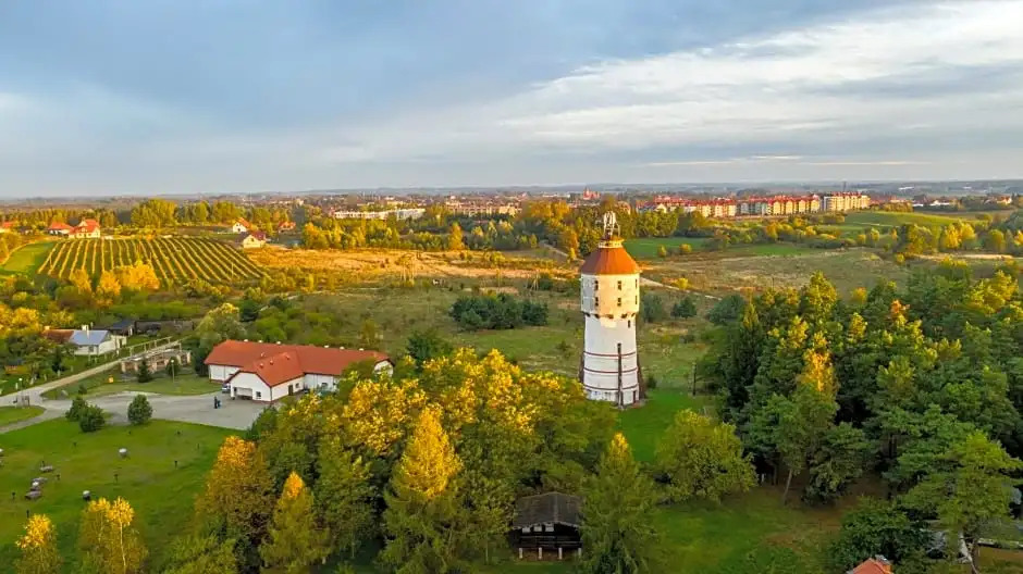 Róża Wiatrów