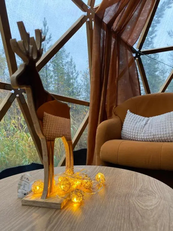 Private Jacuzzi Igloo bedroom in Aurora Lounge Hotel with shared sauna and pet friendly