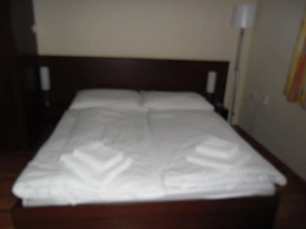 Hotel Arli