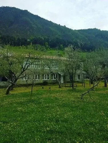Sopio Guesthouse