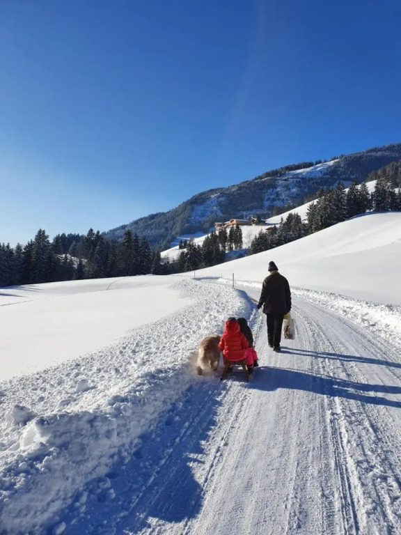 Appartement Pension Bäckenhäusl FERIENWOHNUNGEN Chalets Hütten Komfortzimmer