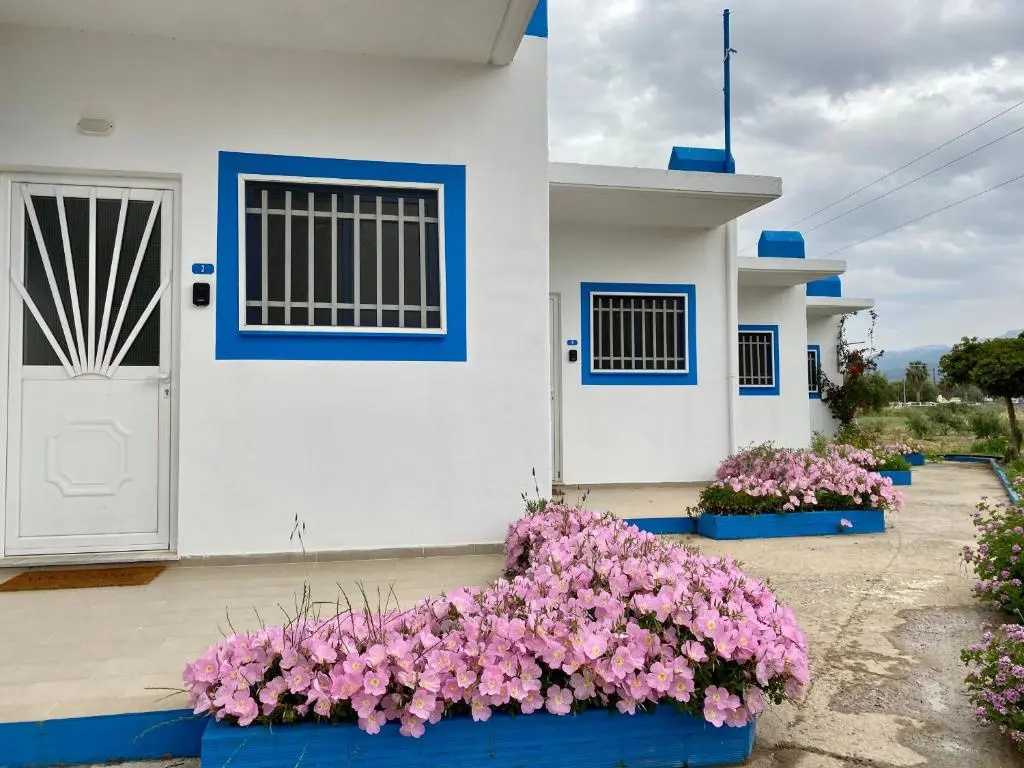Elgreco Apartments at Tigaki near the sea 4
