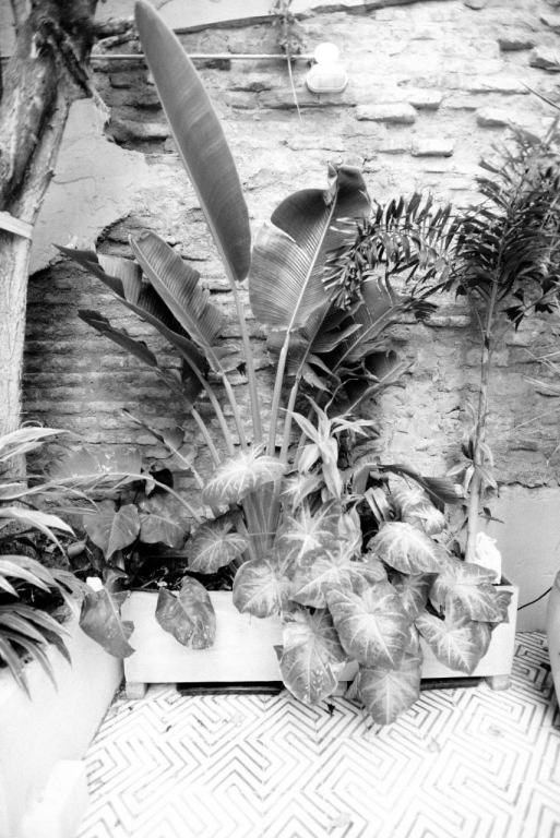 La Casa Hospedaje