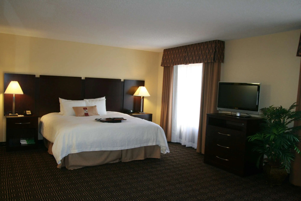 Hampton Inn & Suites Orlando-John Young Parkway/South Park