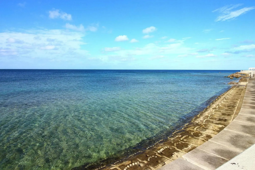 OCEAN VIEW MANSION 2F / Vacation STAY 60396