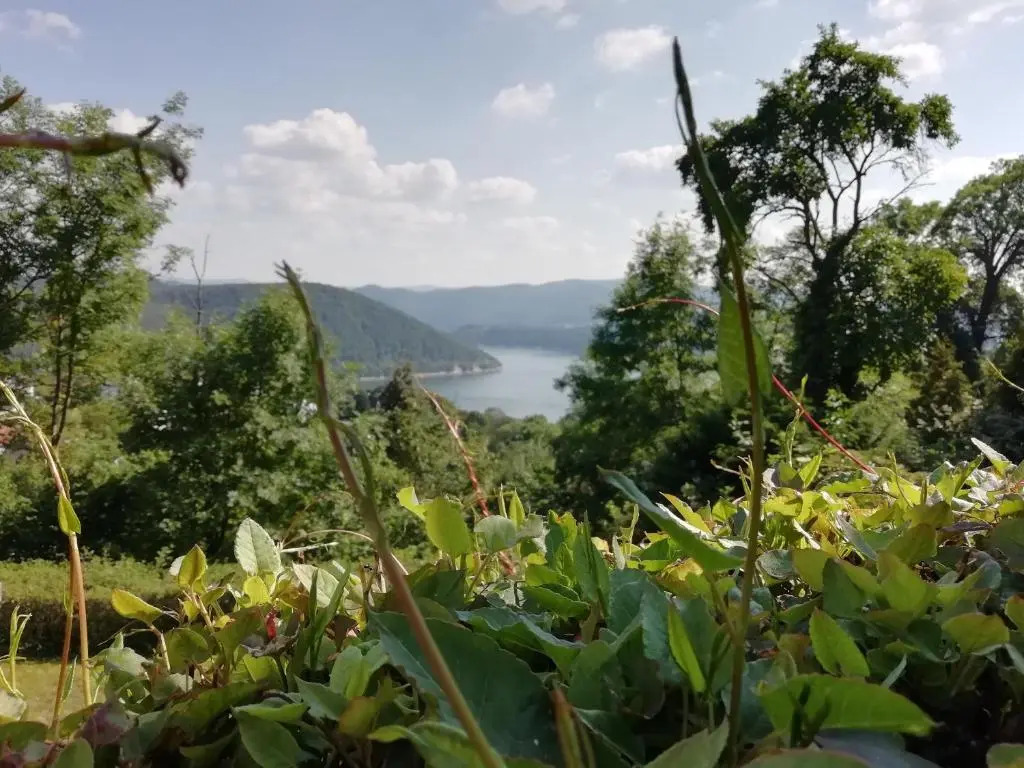 Haus Blick am Edersee