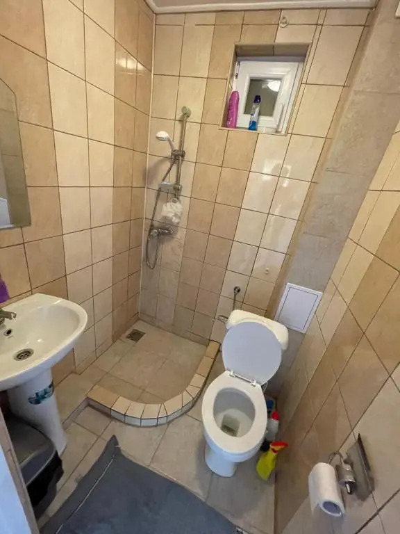 Casa Wiesmann Băile Felix