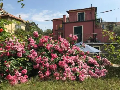 Flat 2 Bedrooms 1 Bathroom - Imperia