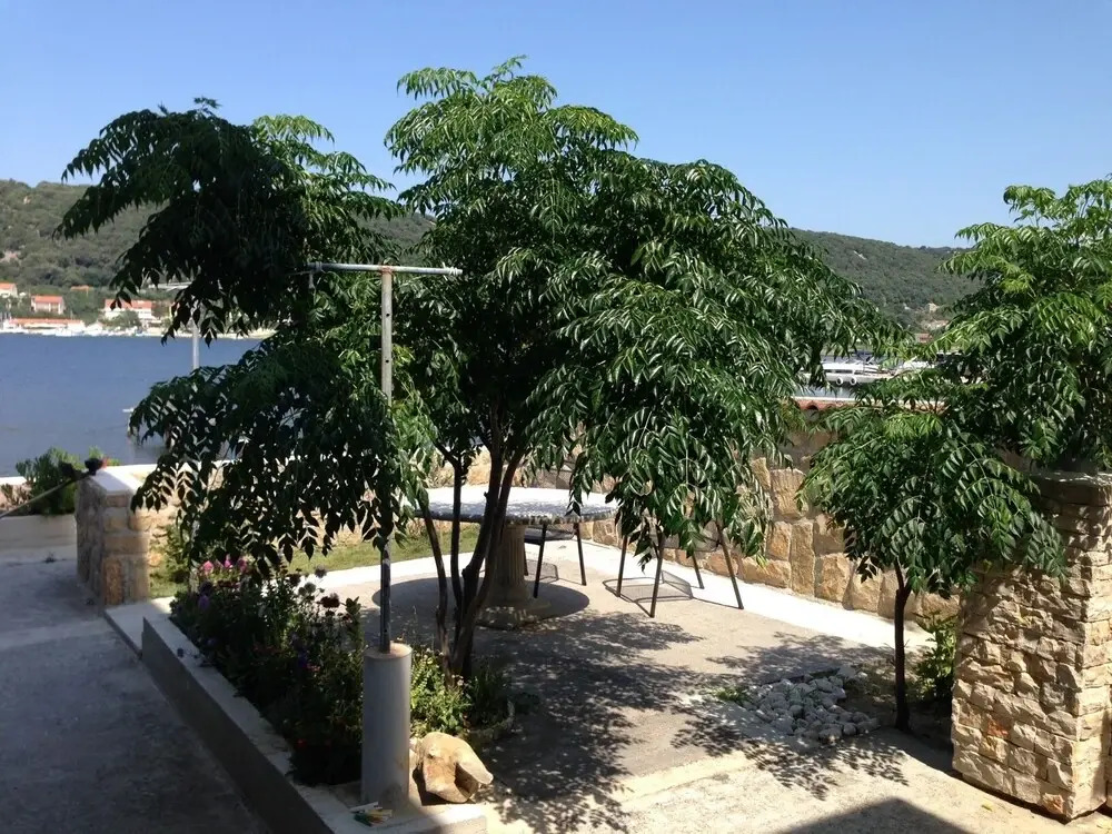 Coastal Home - 10 m From the sea - A2