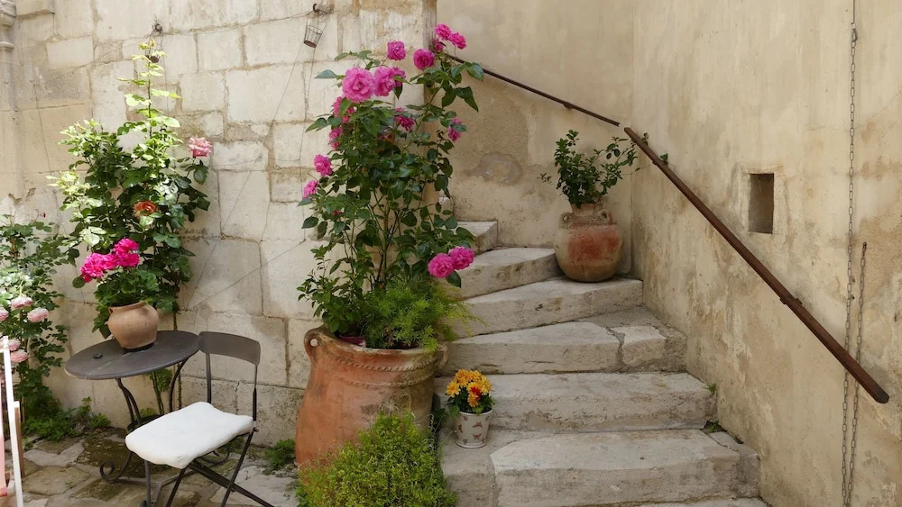 La Maison DIsidore